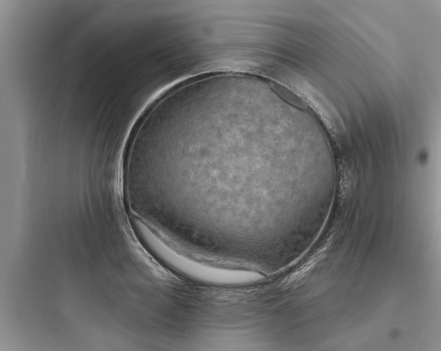 X0000097910940200803211502