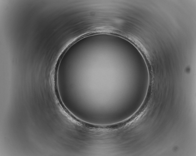 X0000097910941200803211502