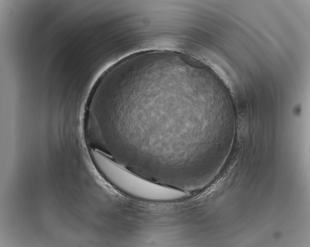 X0000097910944200803211502