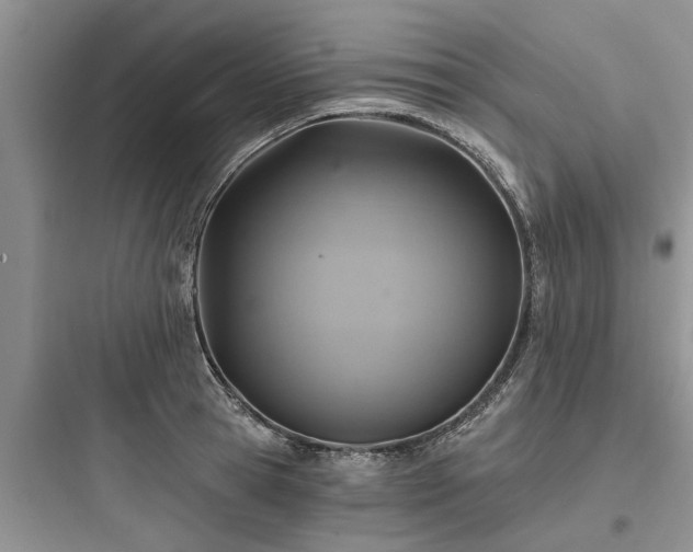 X0000097910945200803211502