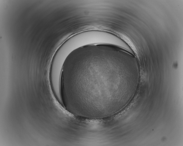 X0000097910946200803211502