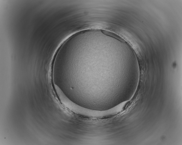 X0000097910948200803211502