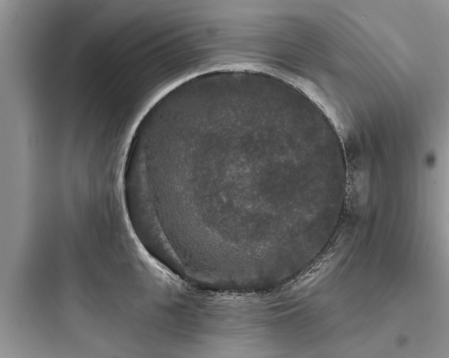 X0000097910951200803211502