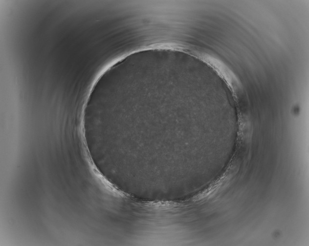 X0000097910952200803211502