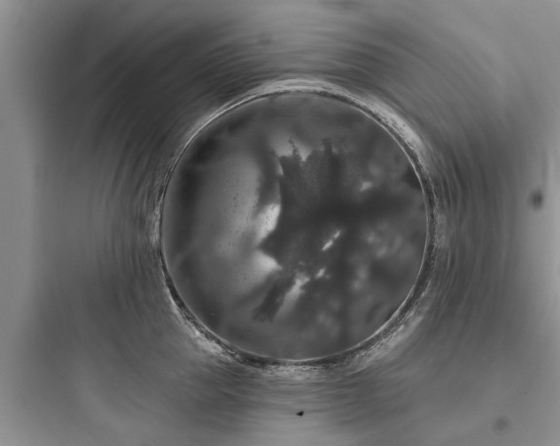 X0000097910953200803211502