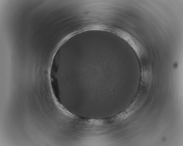 X0000097910954200803211502