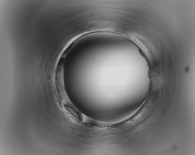 X0000097910956200803211502