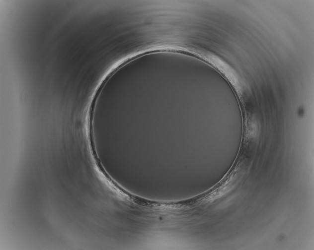 X0000097910958200803211502