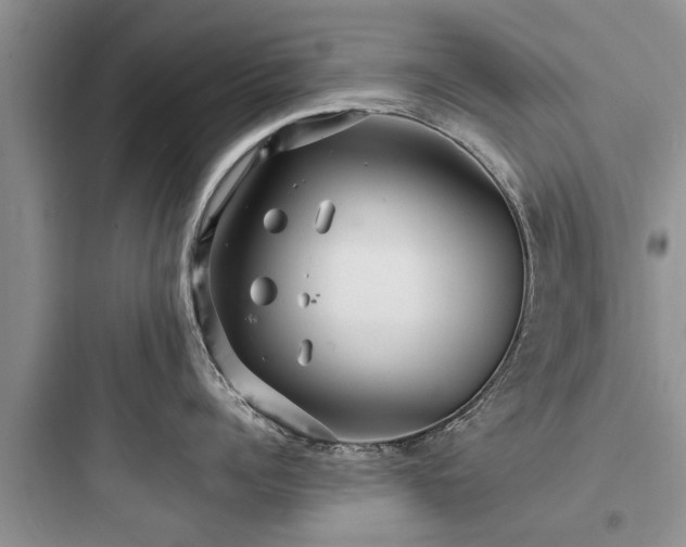 X0000097910960200803211502