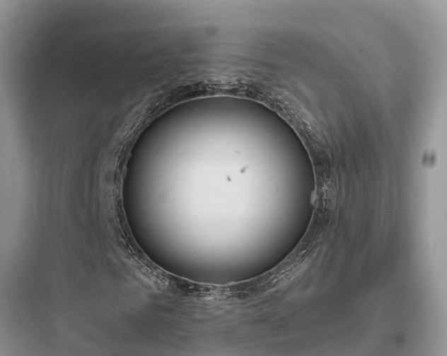 X0000097910961200803211501