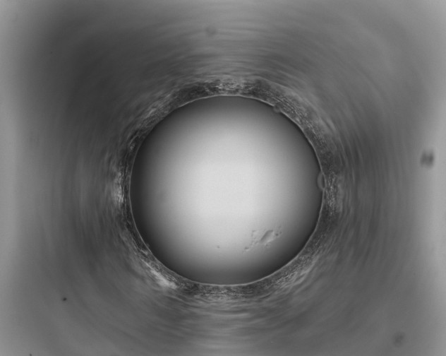 X0000097910962200803211501