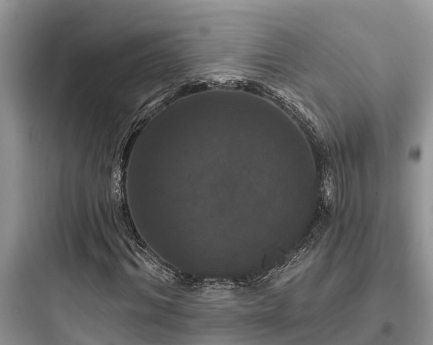 X0000097910964200803211501