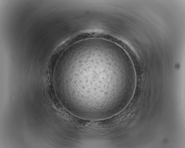 X0000097910967200803211501