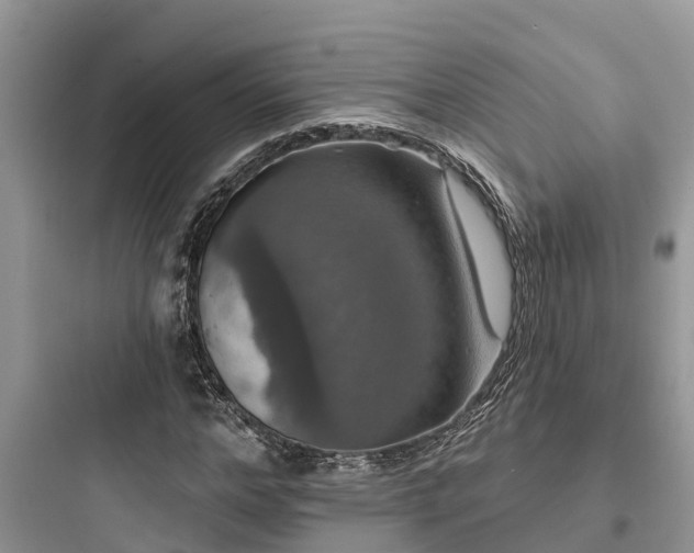 X0000097910968200803211501