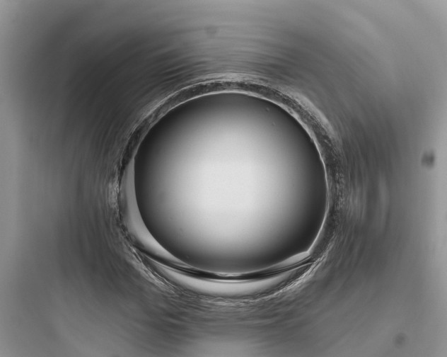 X0000097910969200803211501