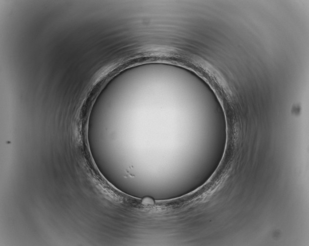 X0000097910970200803211501