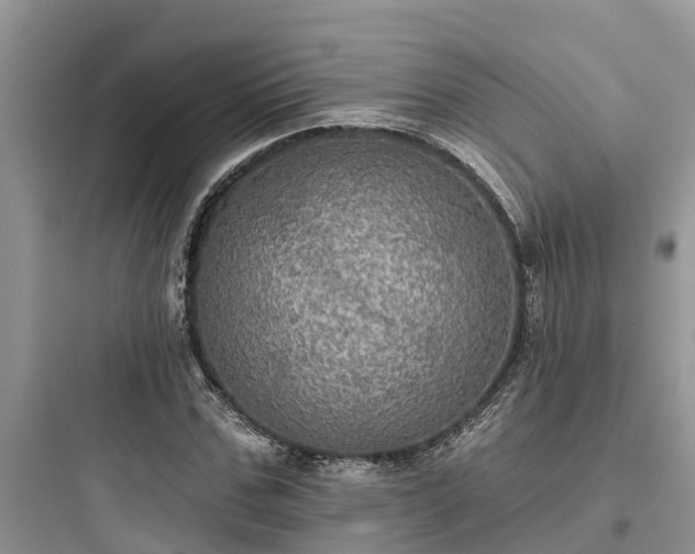 X0000097910971200803211501