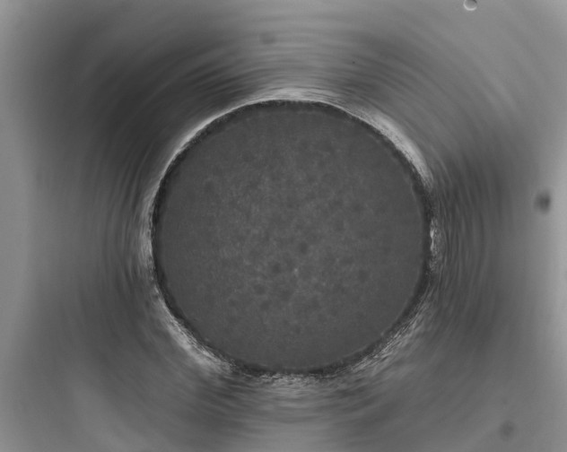 X0000097910972200803211501