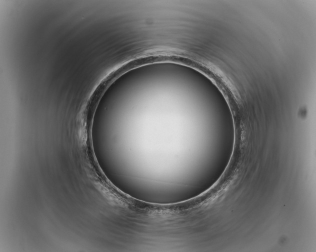 X0000097910973200803211501