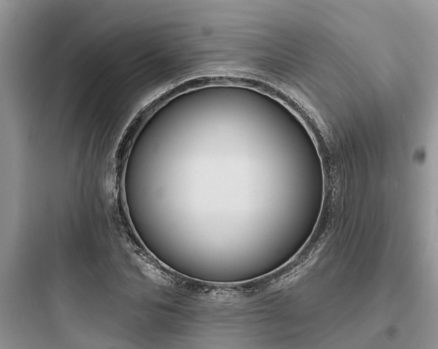 X0000097910974200803211501