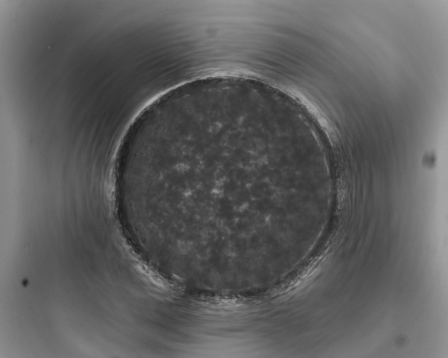 X0000097910975200803211501