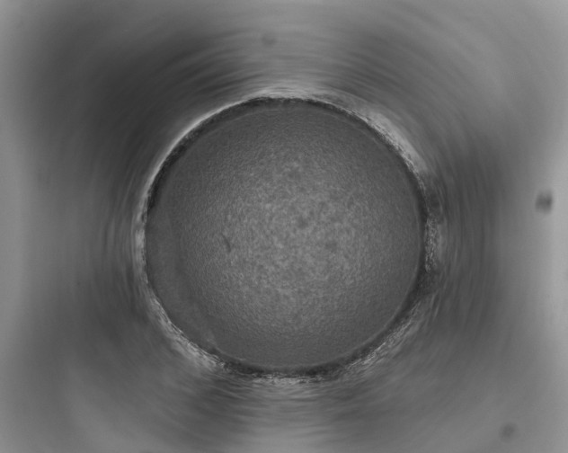 X0000097910976200803211501