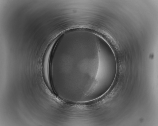 X0000097910977200803211501