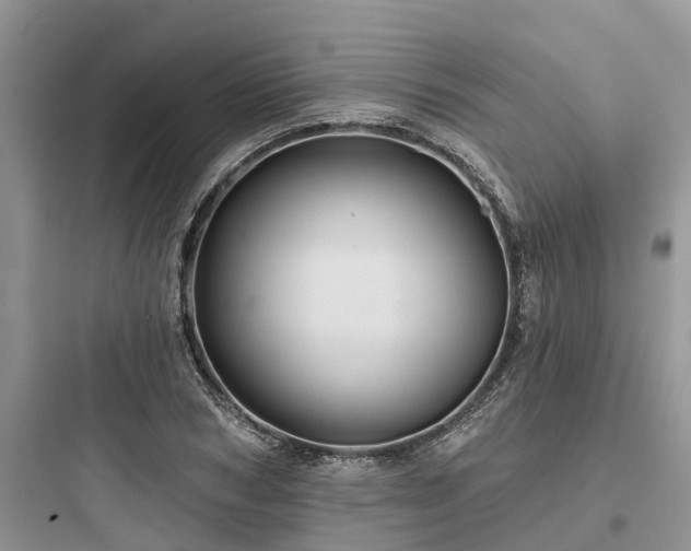 X0000097910978200803211501