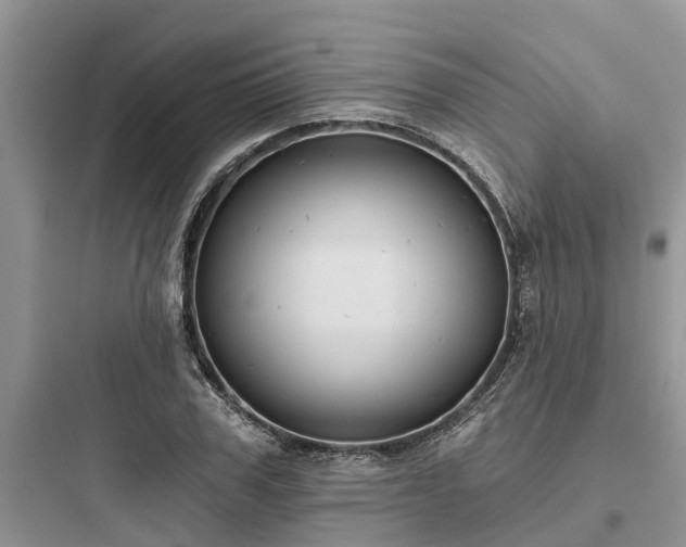 X0000097910979200803211501