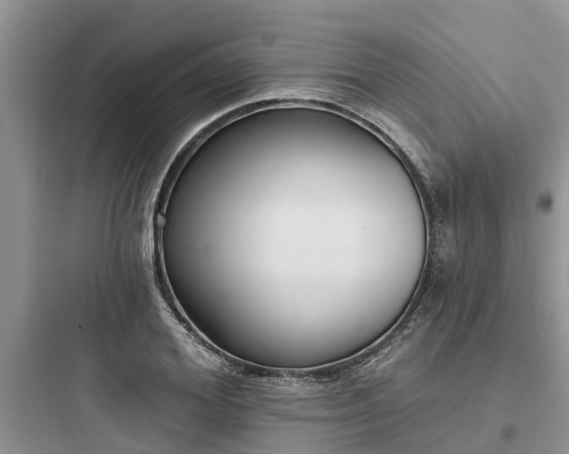 X0000097910980200803211501