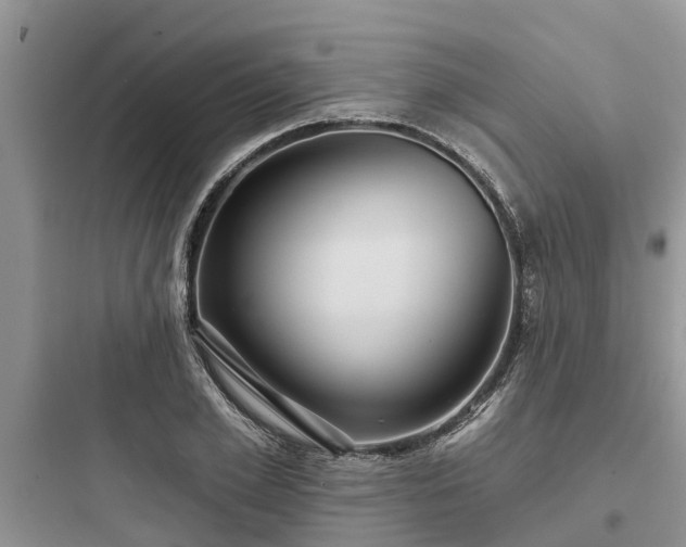 X0000097910981200803211501