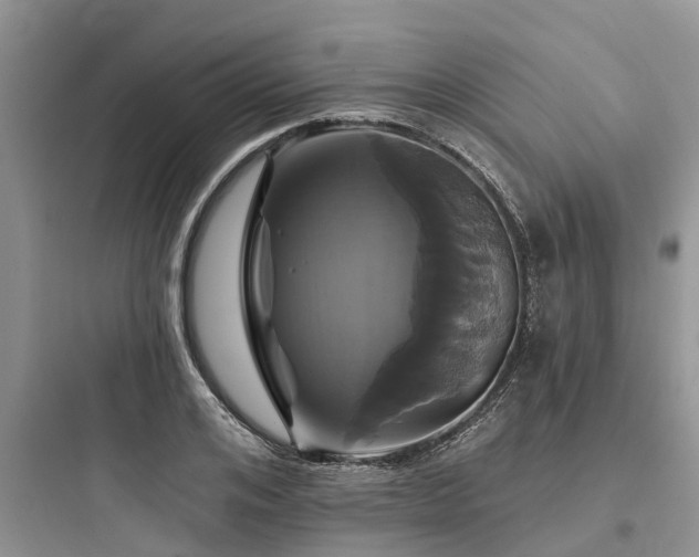 X0000097910984200803211501