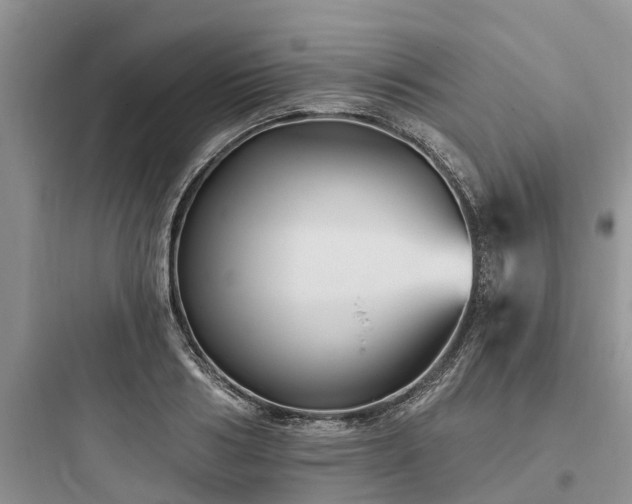 X0000097910986200803211501