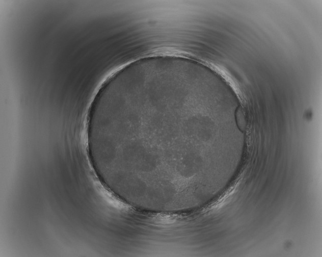 X0000097910987200803211501