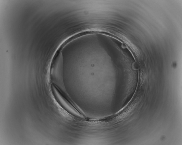 X0000097910988200803211501