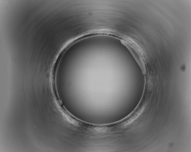 X0000097910989200803211501