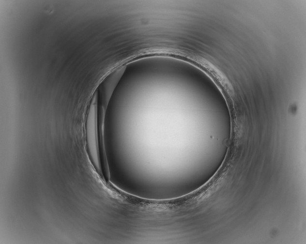 X0000097910993200803211501