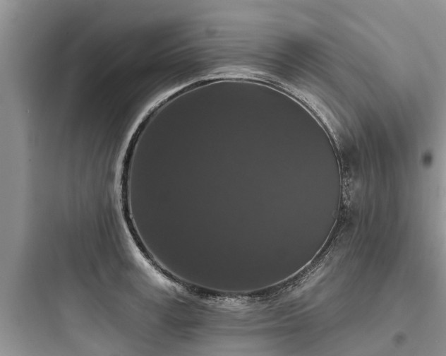 X0000097910995200803211500