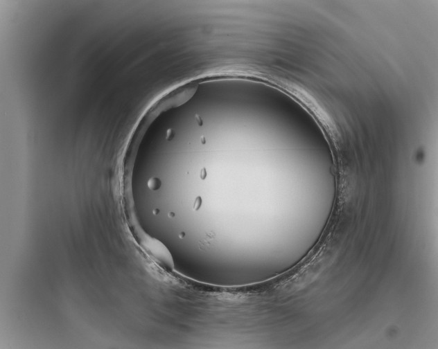 X0000097910996200803211500