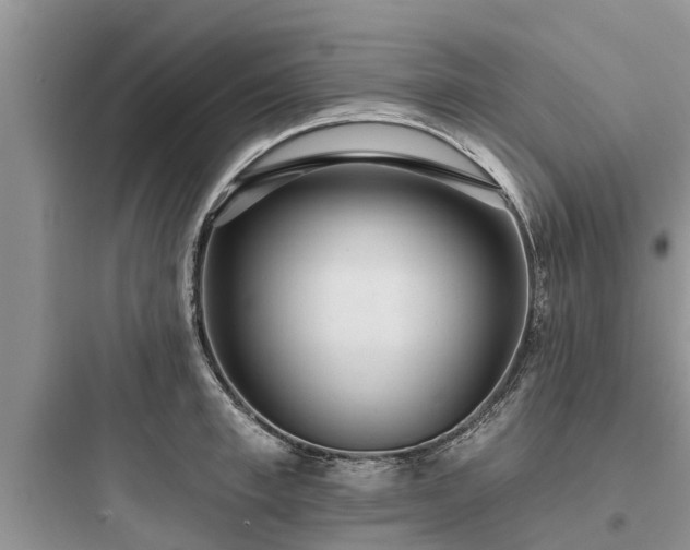 X0000097910997200803211500