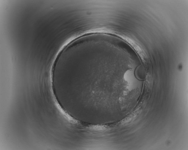 X0000097910998200803211500