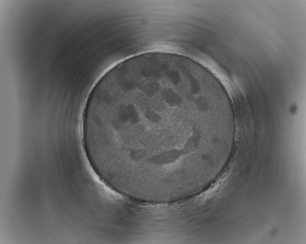 X0000097910999200803211500