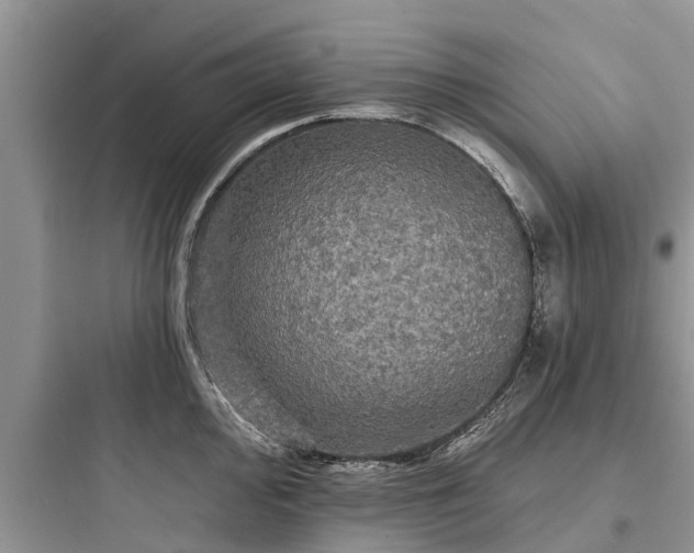 X0000097911000200803211500