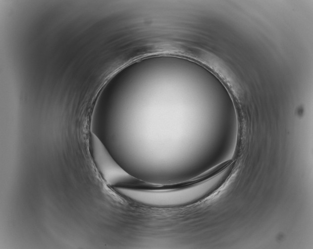 X0000097911001200803211500