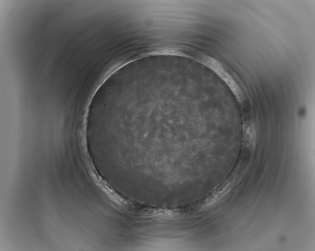 X0000097911002200803211500