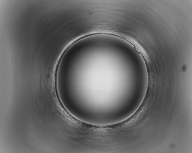 X0000097911004200803211500