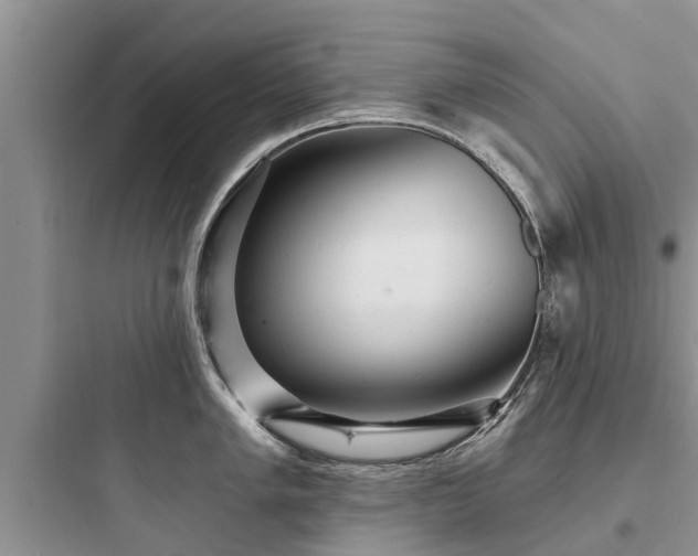 X0000097911005200803211500