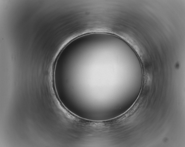 X0000097911006200803211500