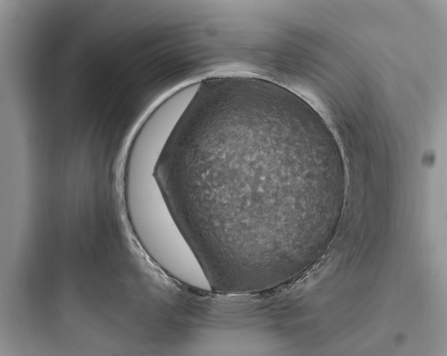 X0000097911008200803211500