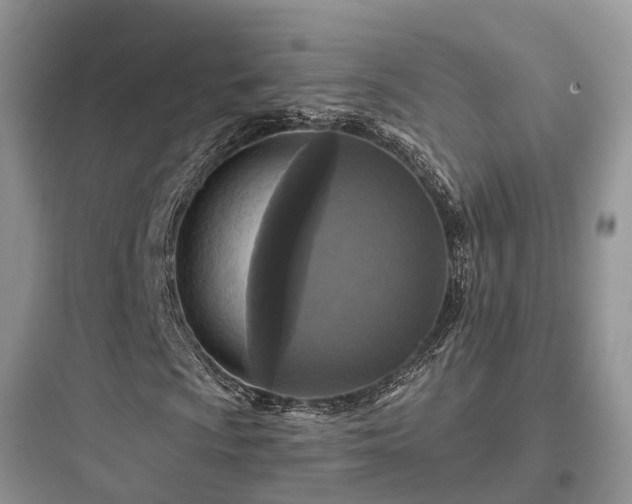 X0000097911009200803211459